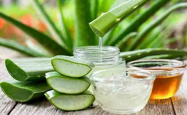 Which Ayurveda Oil Aloe Vera photo