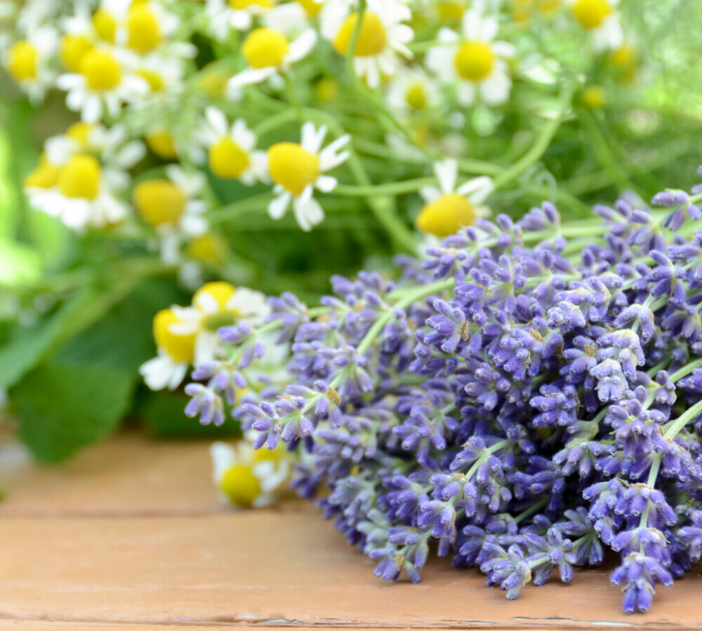 Lavender and Chamomile Serum, Face Serum Recipes For You II photo